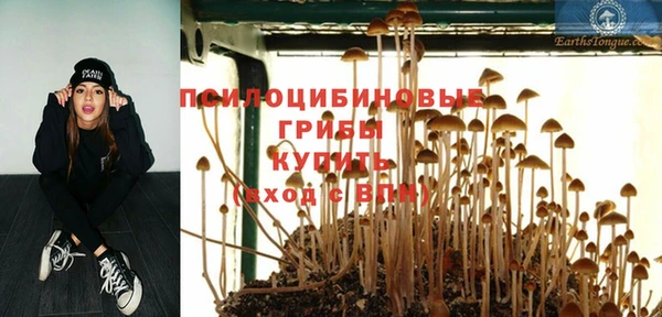 соль ск Алзамай