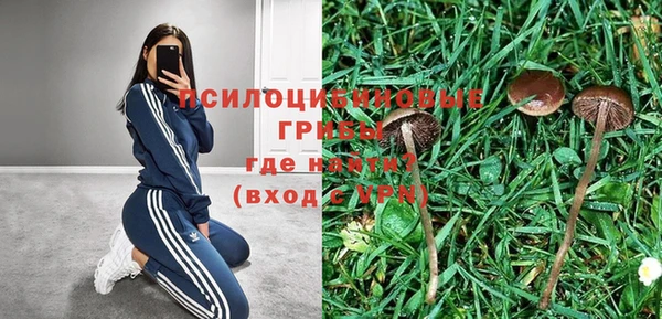 соль ск Алзамай