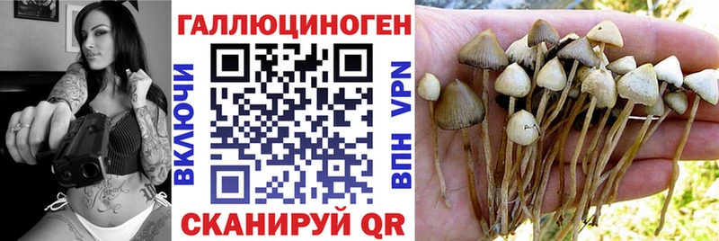 где продают наркотики  Кольчугино  Псилоцибиновые грибы прущие грибы 